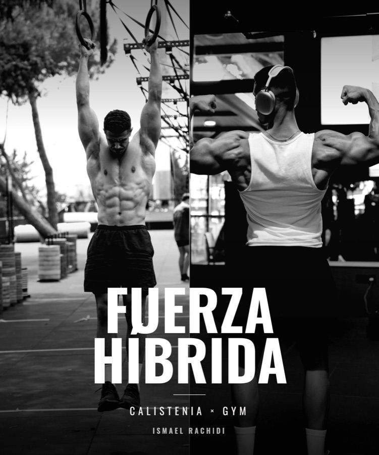 Fuerza Híbrida